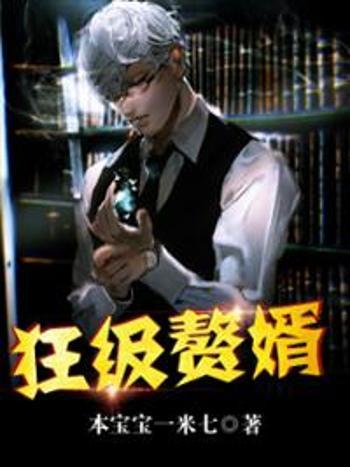 狂級贅婿 狂級贅婿