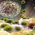 人類免疫缺陷病毒(HIV)