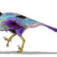 半鳥 半鳥