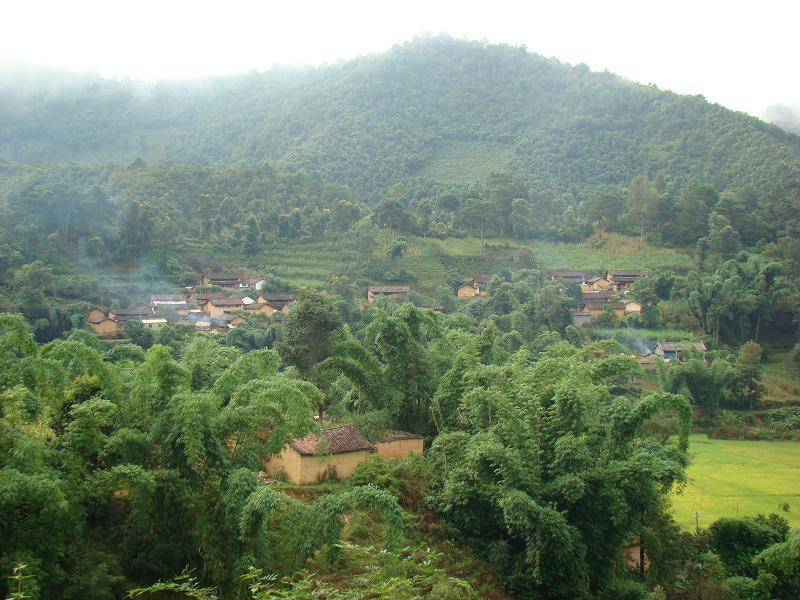 芒豐自然村 芒豐自然村