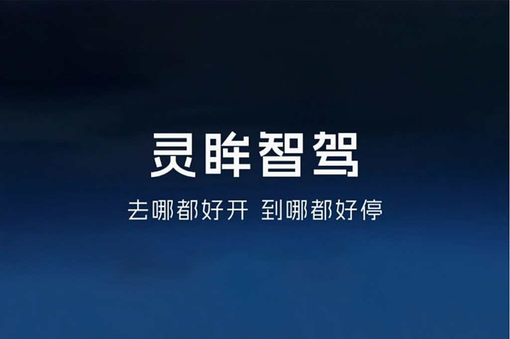 靈眸智駕 靈眸智駕
