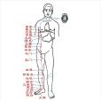 腹哀穴 腹哀穴