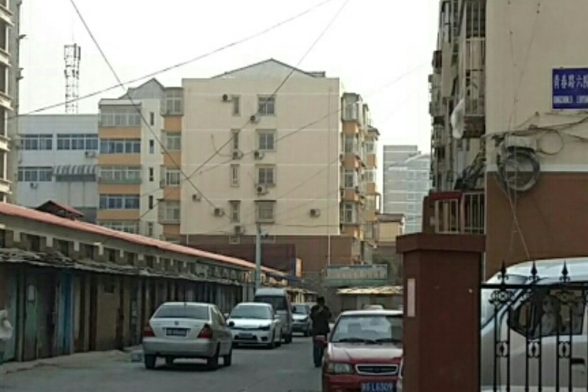 青春路六院 青春路六院
