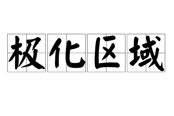 極化區域 極化區域