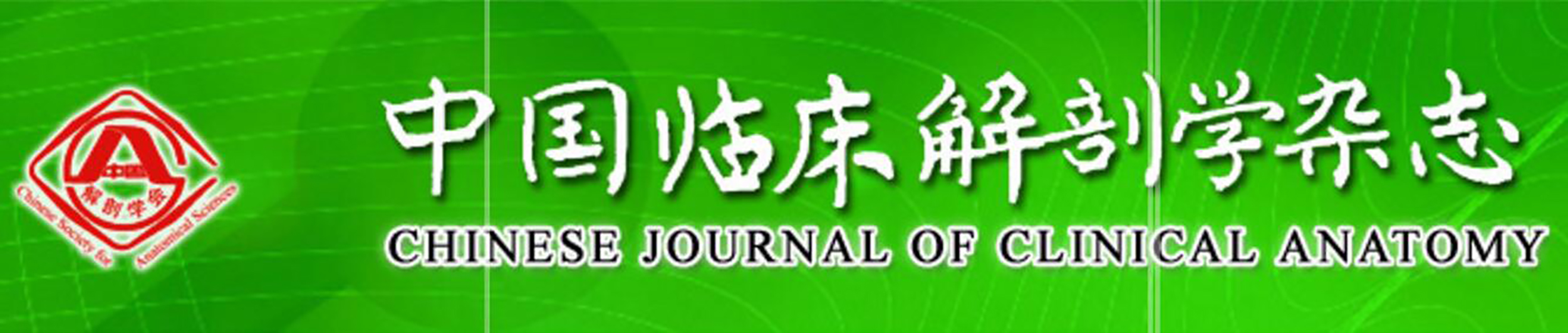 中國臨床解剖學雜誌