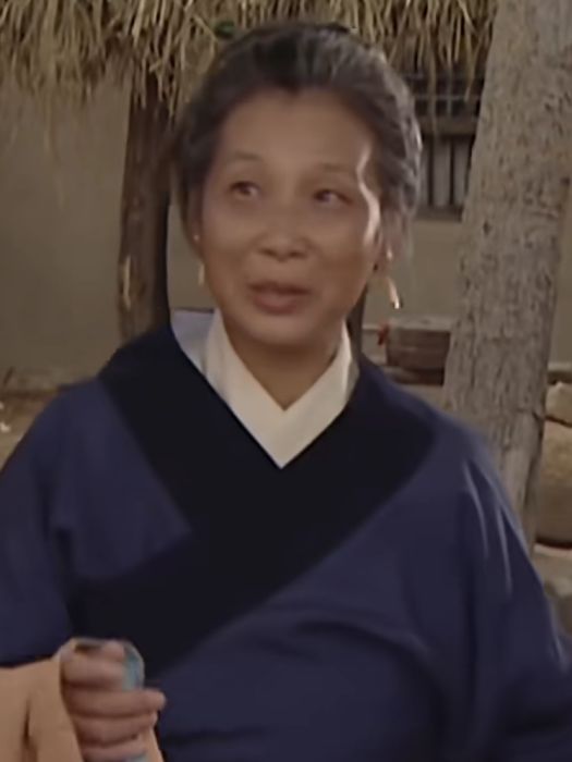 張學勤(中國內地女演員) 張學勤(中國內地女演員)