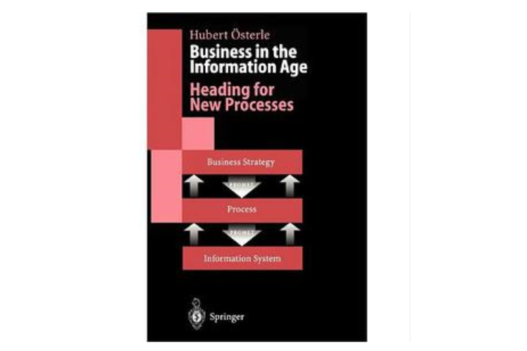 Business in the Information Age Business in the Information Age