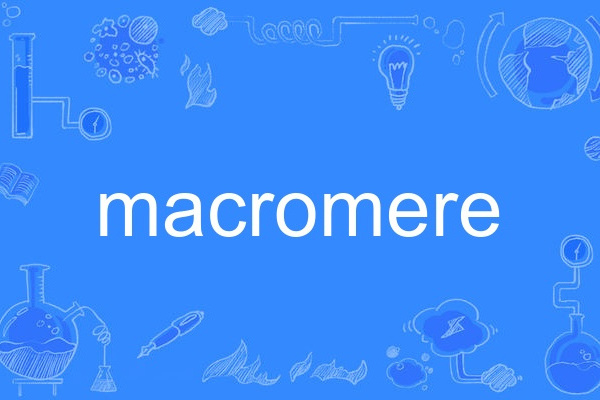 macromere macromere