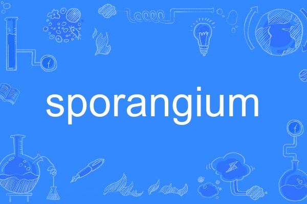 sporangium sporangium