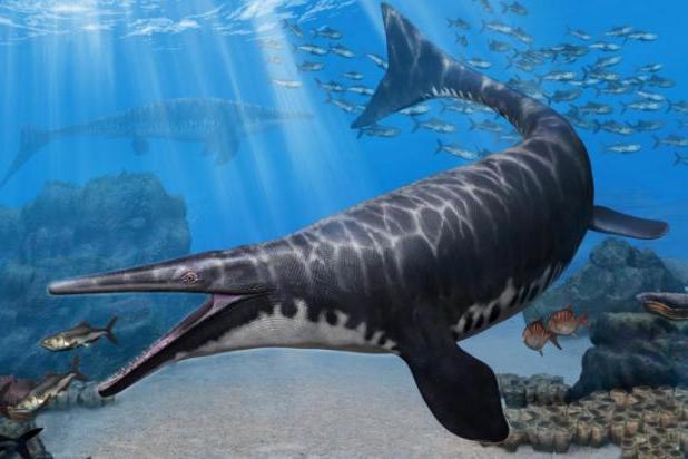 Gavialimimus almaghribensis Gavialimimus almaghribensis