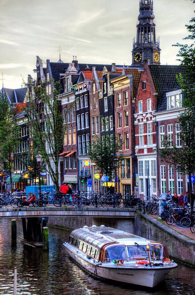 阿姆斯特丹大學(University of Amsterdam)