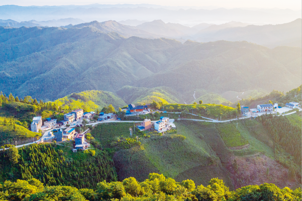 央龍村 央龍村