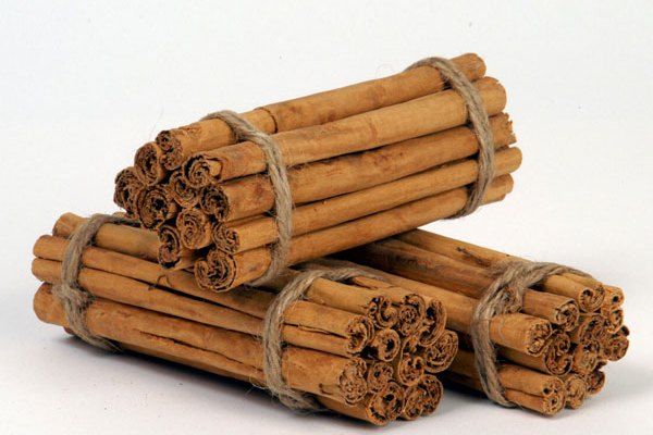南肉桂