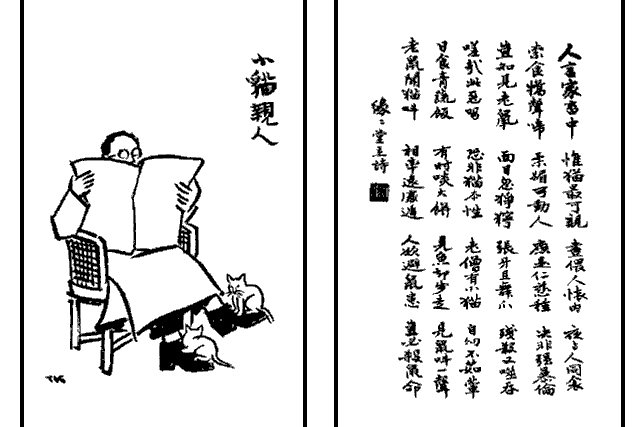 小貓親人 小貓親人