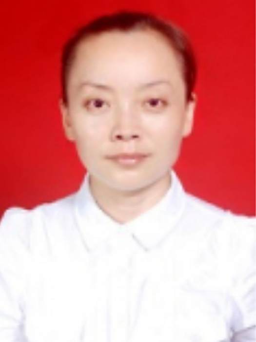 李靜(陝西省興平市審計局總審計師)
