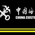 海關稽查(法律概念) 海關稽查(法律概念)