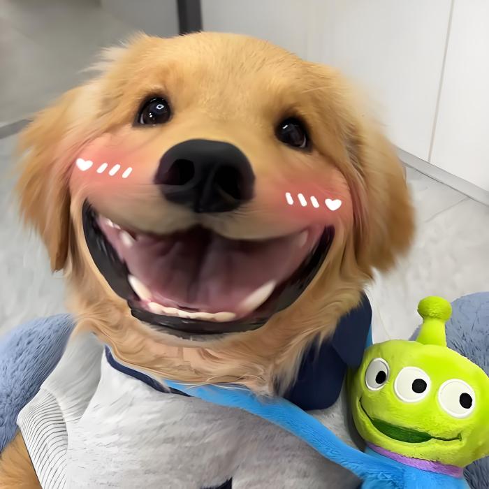 佩奇大人? 佩奇大人?