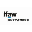 國際愛護動物基金會(ifaw)
