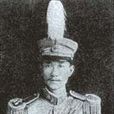 護國軍(護國運動中組織的討袁軍) 護國軍(護國運動中組織的討袁軍)