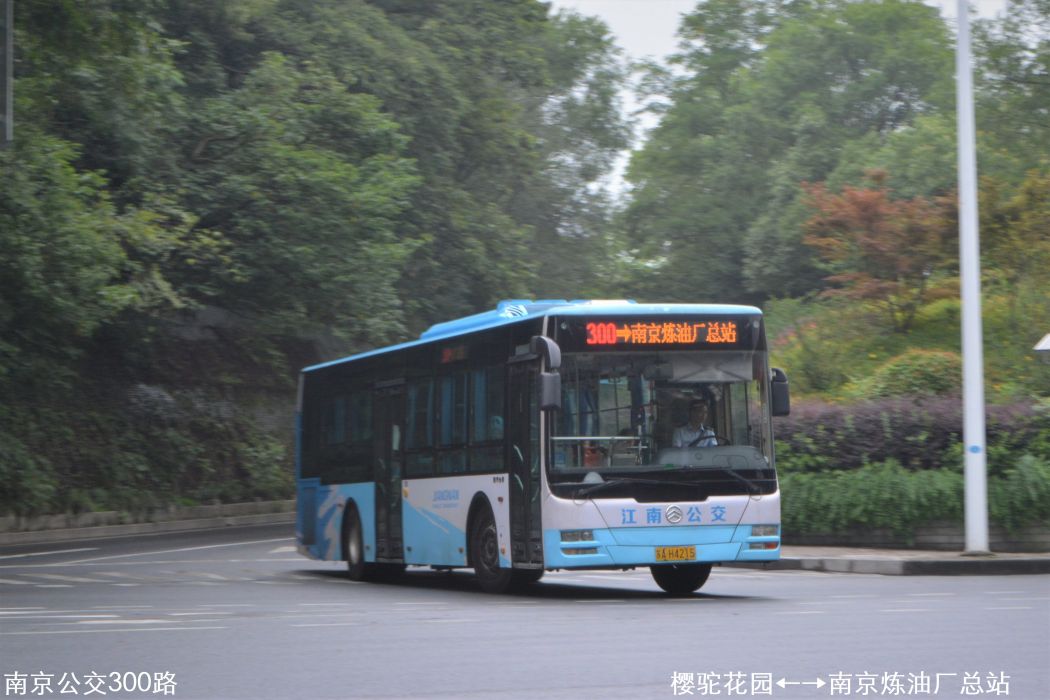 南京公交300路 南京公交300路