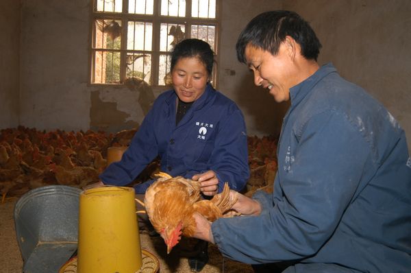 養殖致富