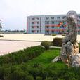 周莊鎮(興化市周莊鎮) 周莊鎮(興化市周莊鎮)
