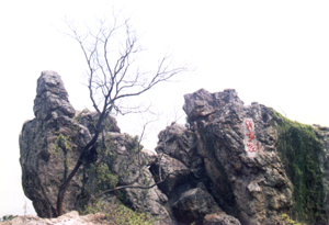 石蓮洞國家森林公園自然風景