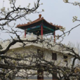劉村(山東省滕州市柴胡店鎮下轄村) 劉村(山東省滕州市柴胡店鎮下轄村)