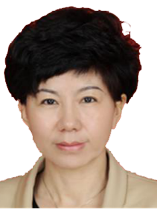 馬玉萍(甘肅省人大代表) 馬玉萍(甘肅省人大代表)
