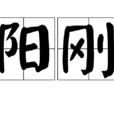 陽剛(詞語) 陽剛(詞語)