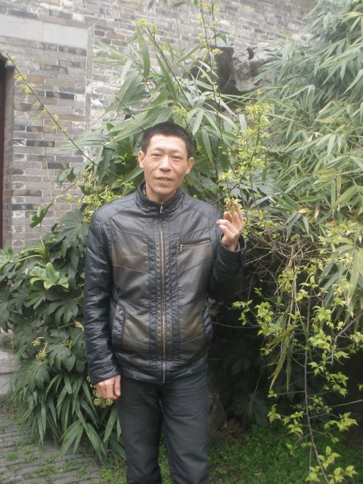 金世華(中國陶瓷書畫院副院長) 金世華(中國陶瓷書畫院副院長)