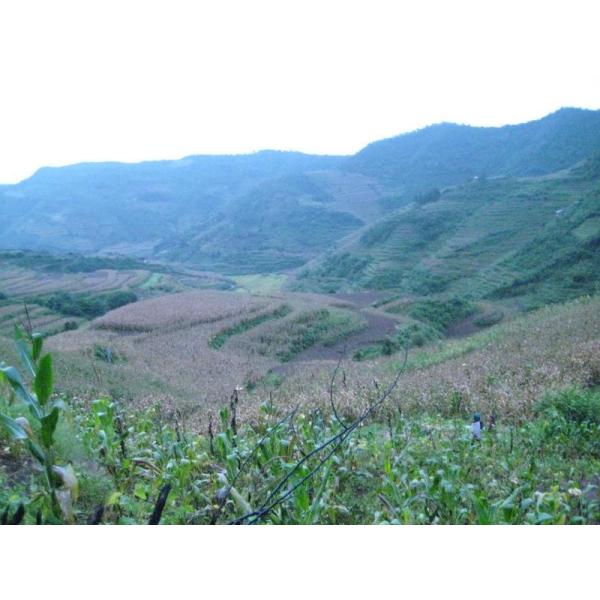 大村溝村