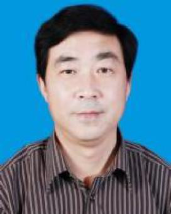 高小林(安徽省廬江縣民政局黨組成員、副局長)