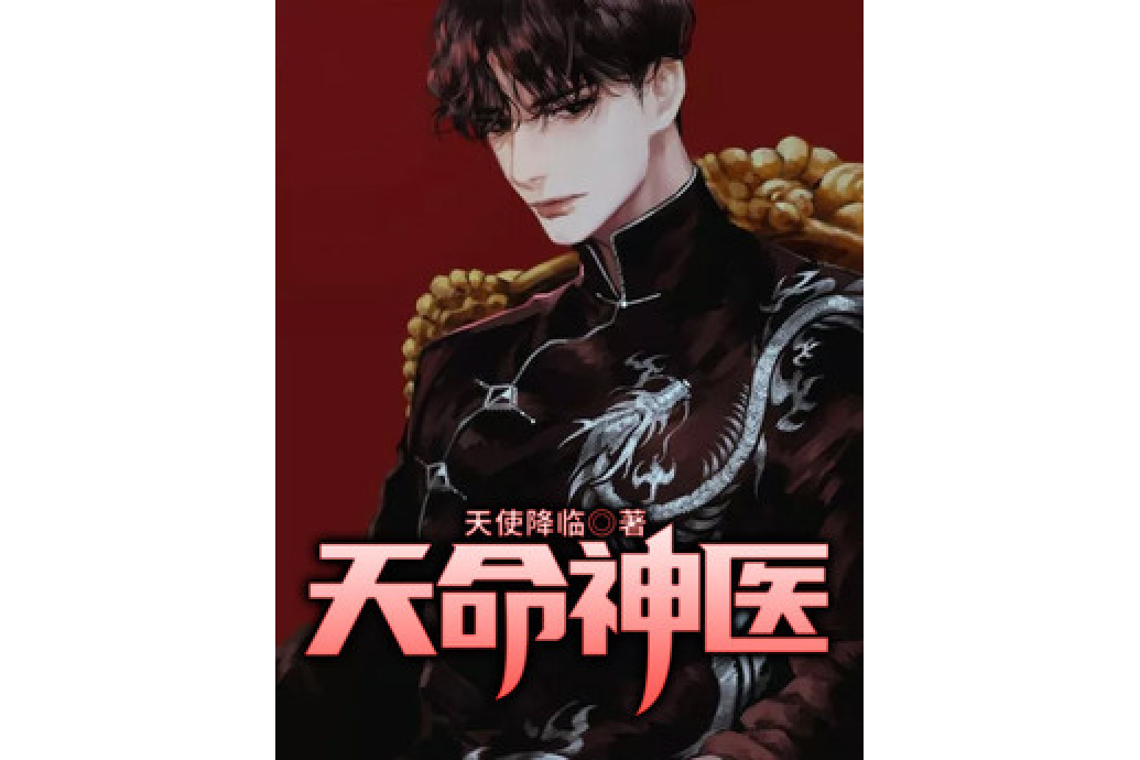 天命神醫(天使降臨所著小說) 天命神醫(天使降臨所著小說)
