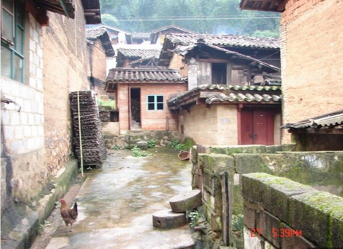 玉美村(雲南省玉溪峨山縣岔河鄉自然村) 玉美村(雲南省玉溪峨山縣岔河鄉自然村)