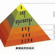 集權 集權