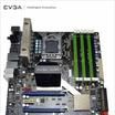 AIC(Nvidia顯示卡授權生產廠商) AIC(Nvidia顯示卡授權生產廠商)