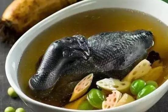 藕燉烏雞 藕燉烏雞