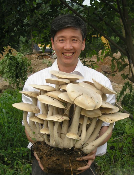李泰輝 李泰輝