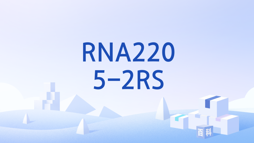 RNA2205-2RS RNA2205-2RS