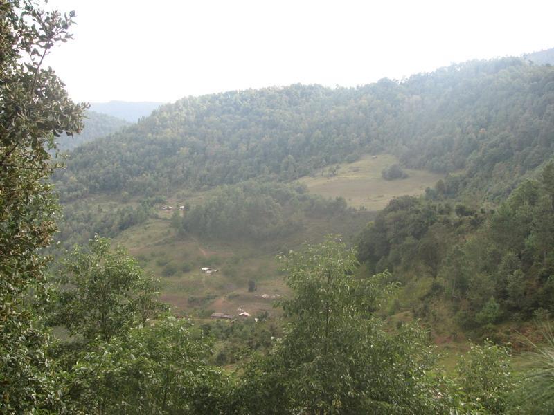 期史豆村 期史豆村