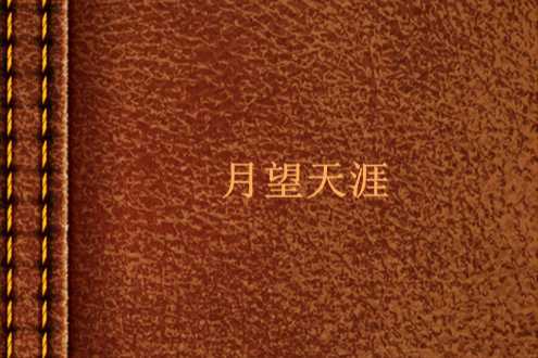 月望天涯 月望天涯