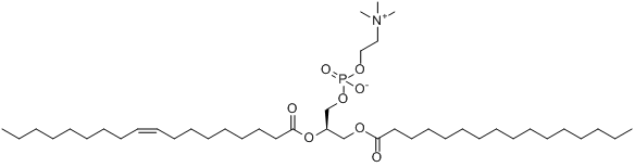 2-油醯-1-棕櫚錫甘油-3-磷酸膽鹼