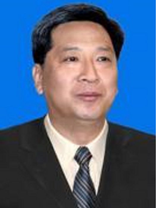 劉會春(天津市國資委副主任) 劉會春(天津市國資委副主任)