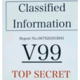 V99 V99