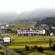 大海子村(雲南曲靖市富源縣十八連山鄉下轄村) 大海子村(雲南曲靖市富源縣十八連山鄉下轄村)