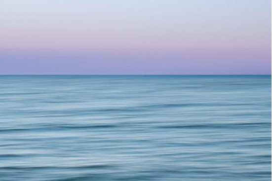 Sea Folk Sea Folk