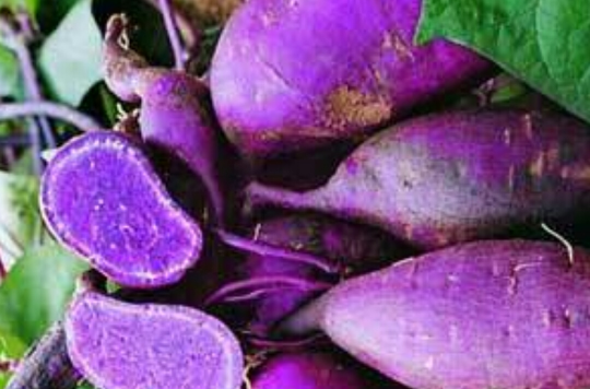 紫色食品