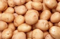 訥河土豆