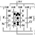 連續電除鹽 連續電除鹽